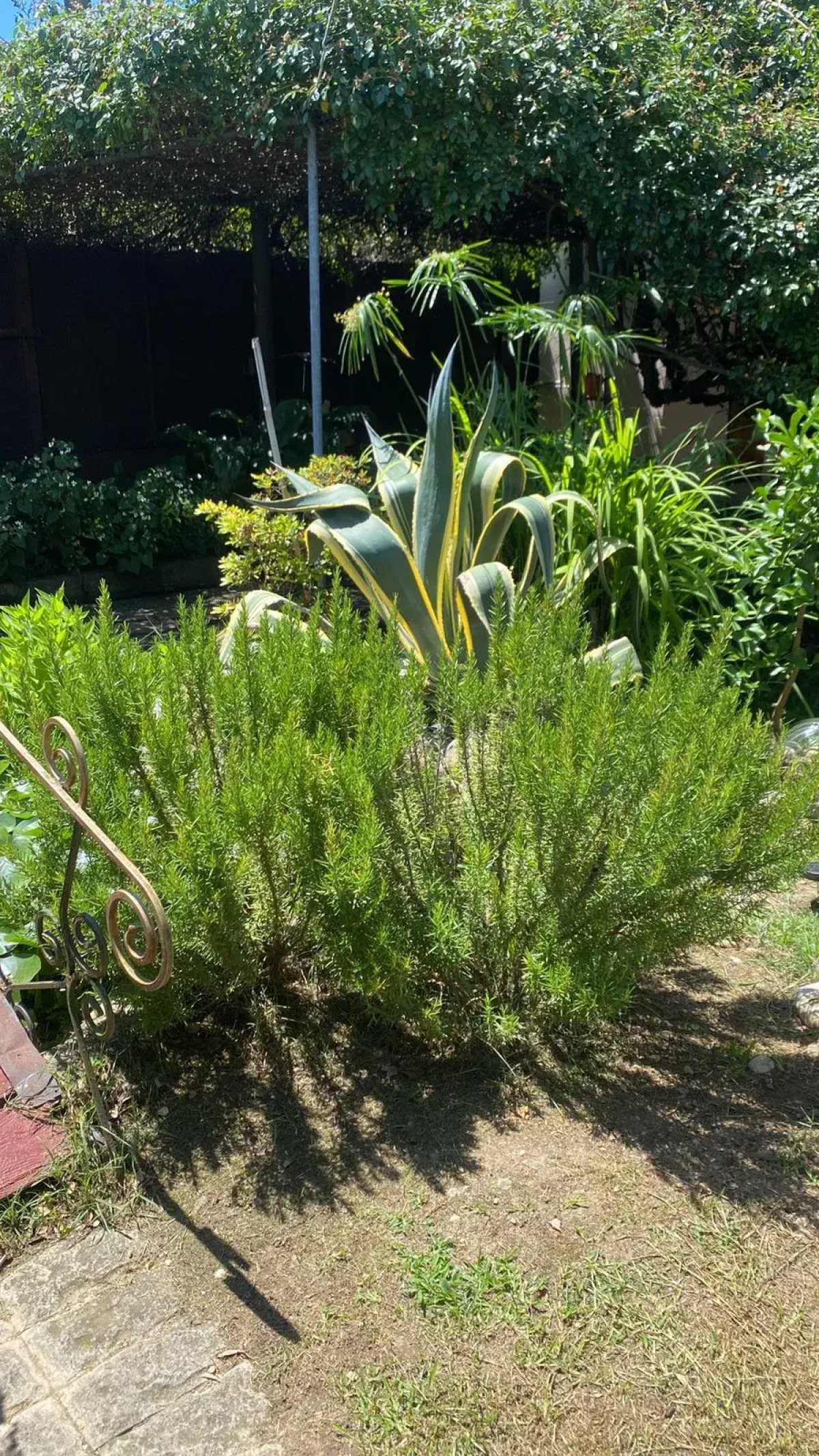 Гостевой Дом Гостевые Домики Гудаута