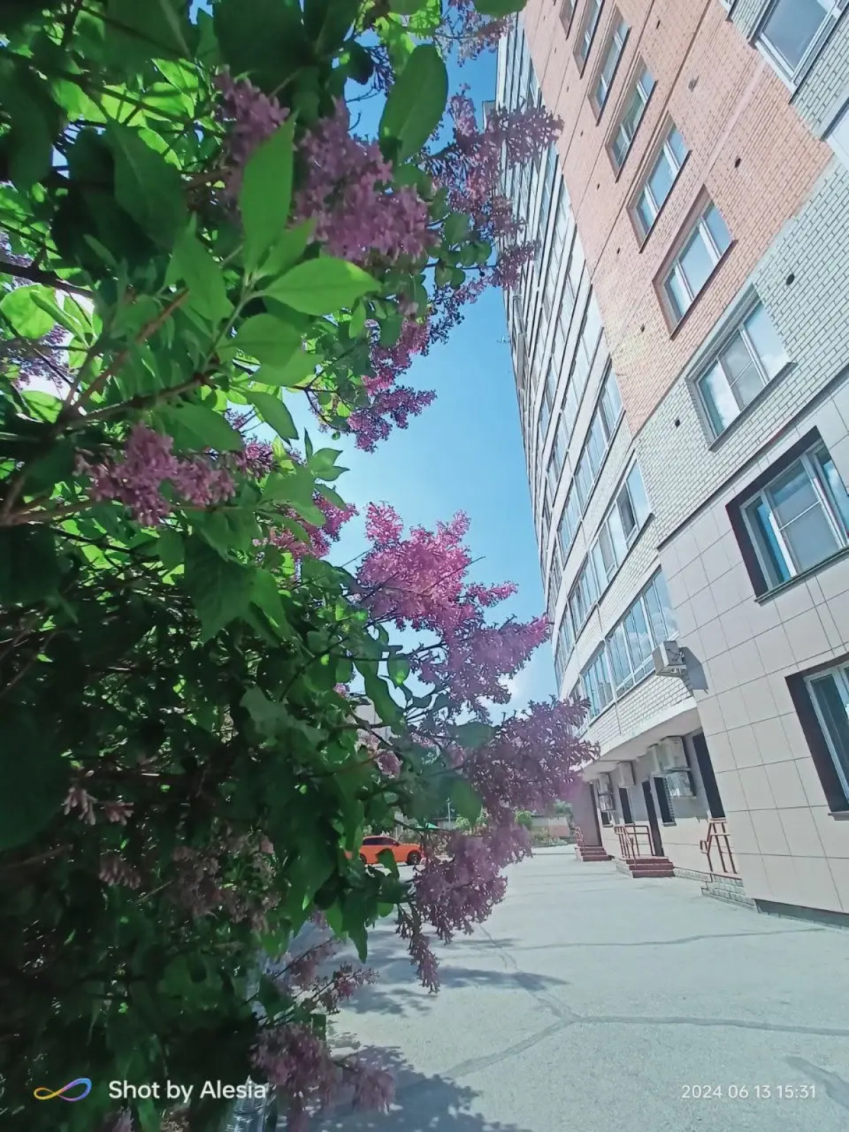 Квартира Гостевая Алеся на Малышева 4Б