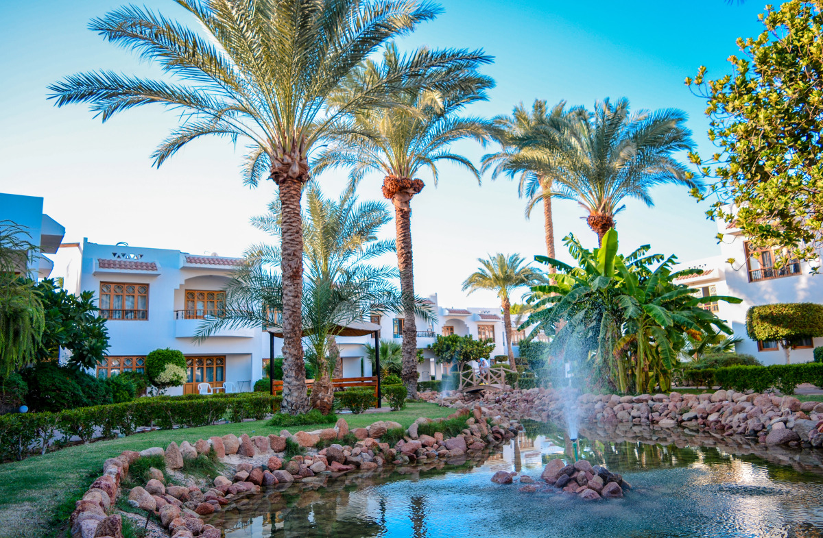 Курортный Отель Dive Inn