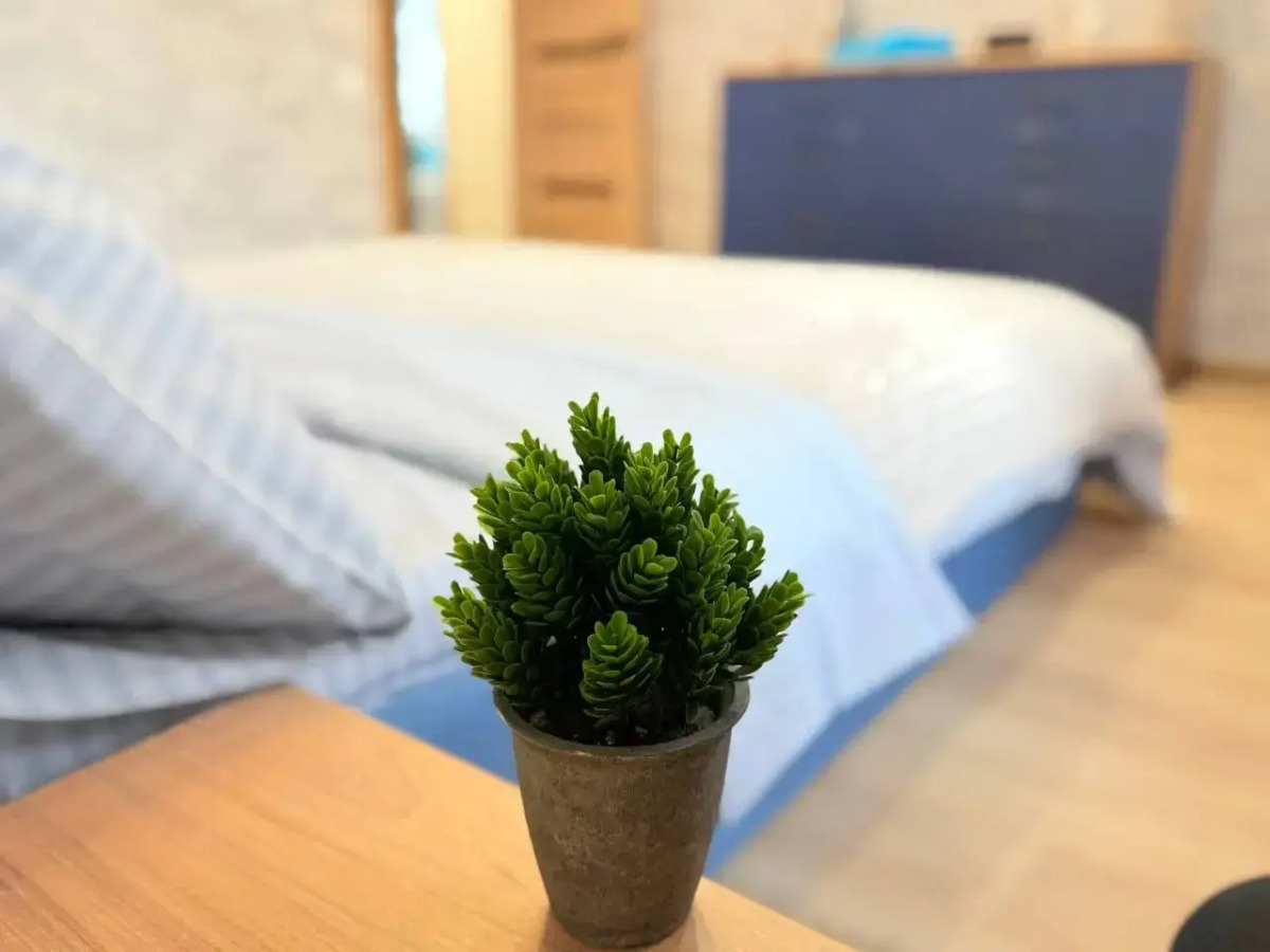 Апартаменты Трехкомнатные VIP в Центре Пензы