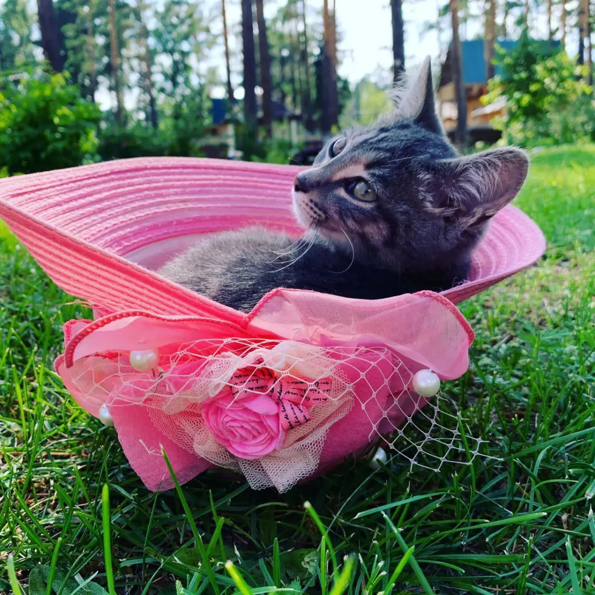 Мини-отель Подснежник