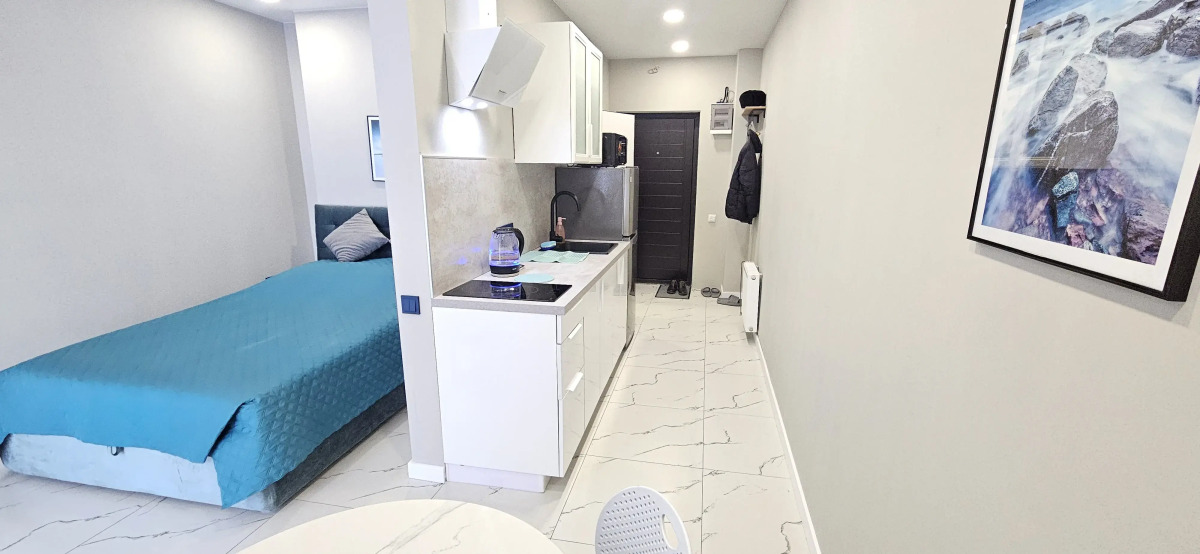 Квартира на Улице Полковника Фесюна 20