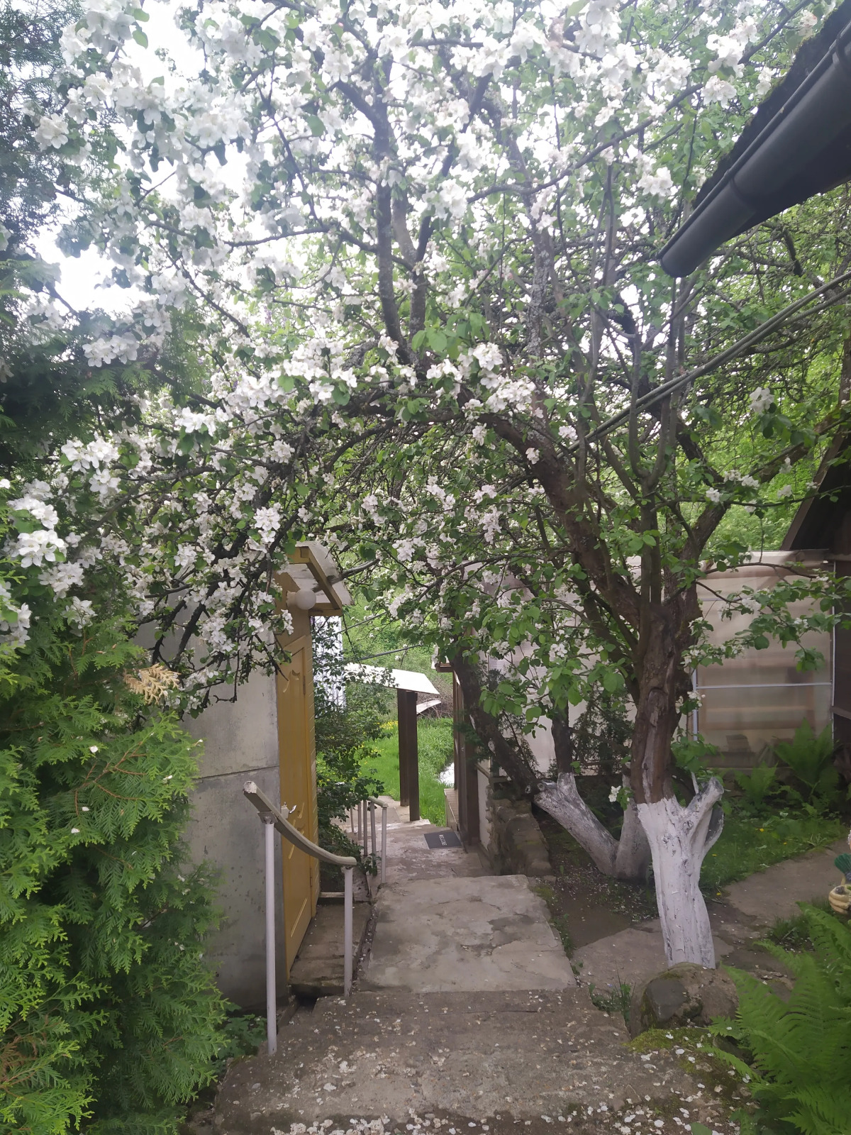 Гостевой дом Бугрово