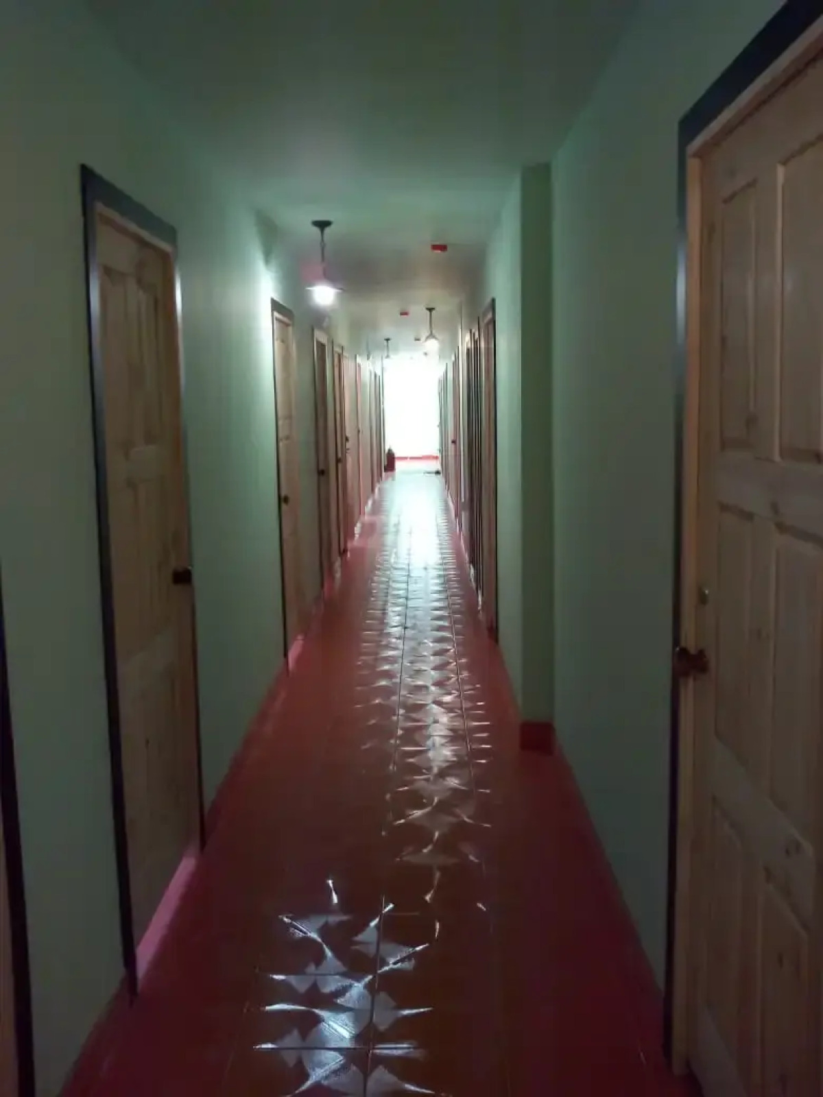 Хостел Вежливый Лось на Ботаническом Саду