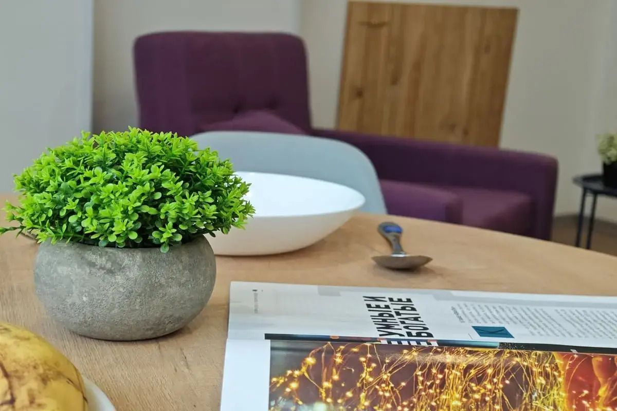 Квартира Светлая 2к по Тухачевского 49/4-41