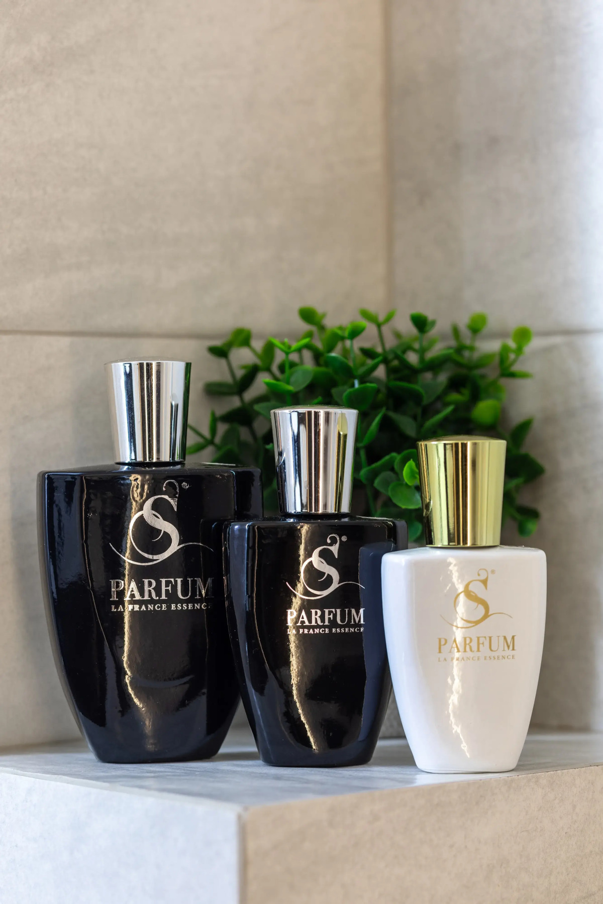 Квартира класса люкс в самом центре города Калининграда