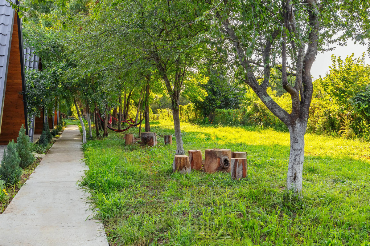 Эко-коттеджи ДиАлекс