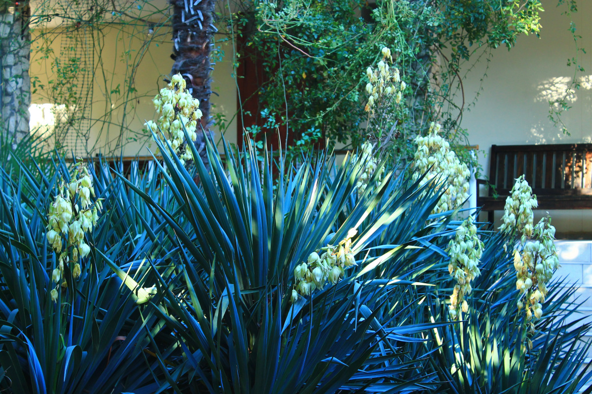 Гостевой дом Летний Дворик