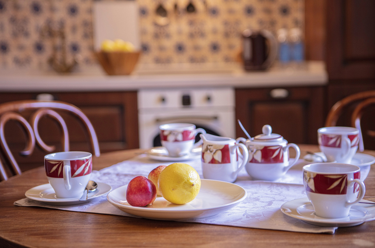 Видовые апартаменты рядом со Спасом на Крови