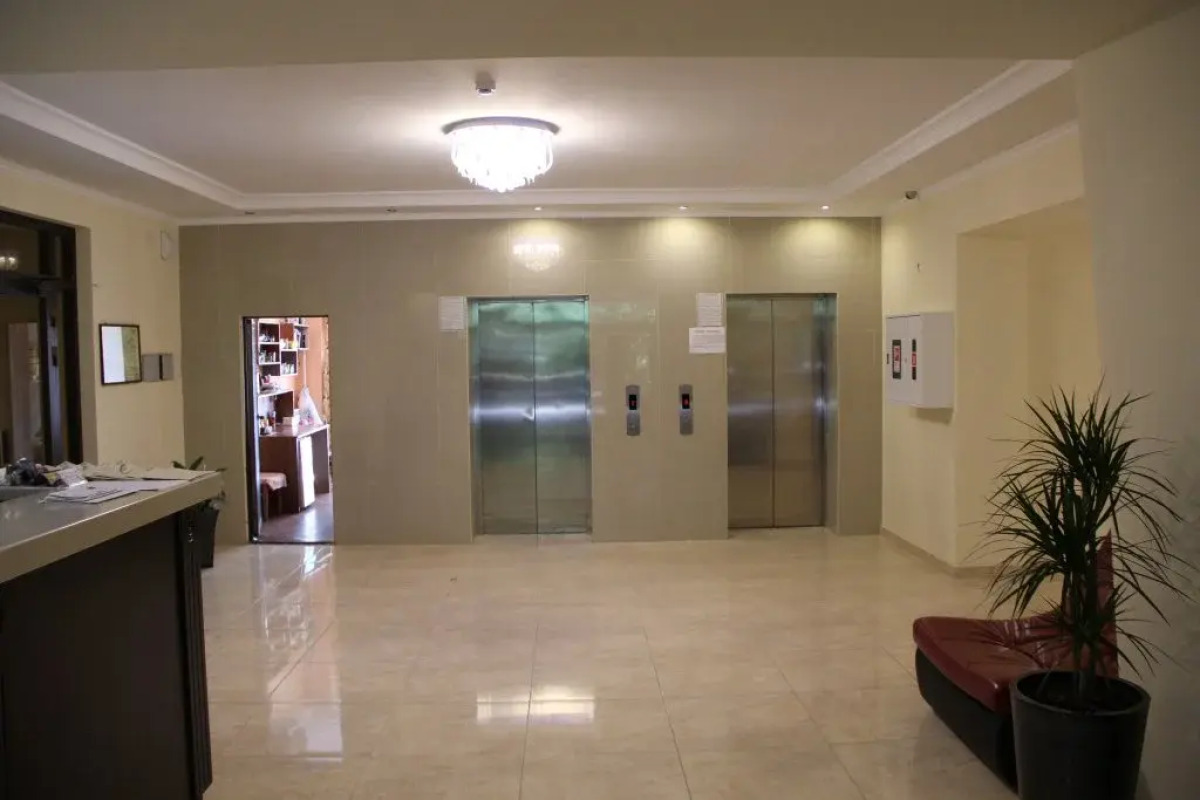 Апартаменты Светлана-Центр у моря с видом на сад магнолий