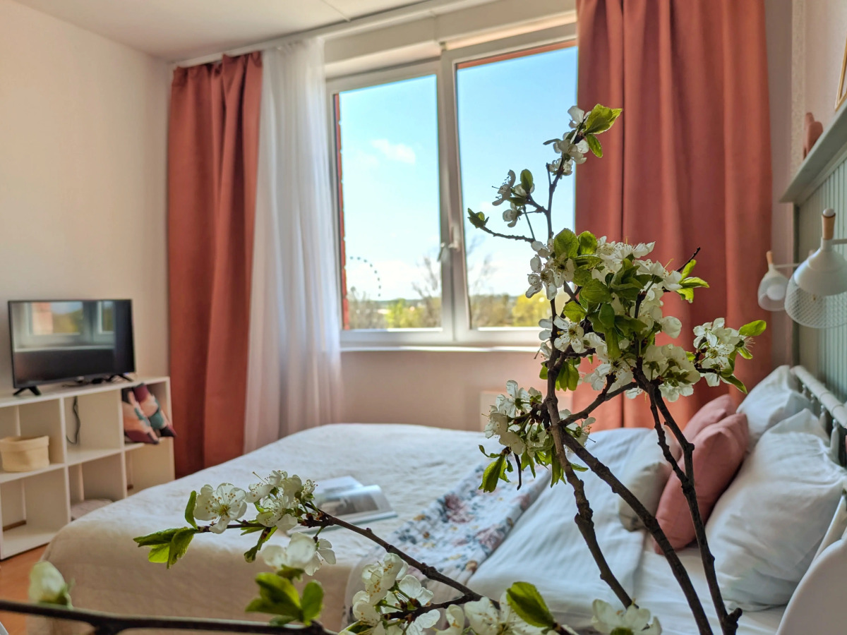 Апартаменты Видовая Студия Покровские