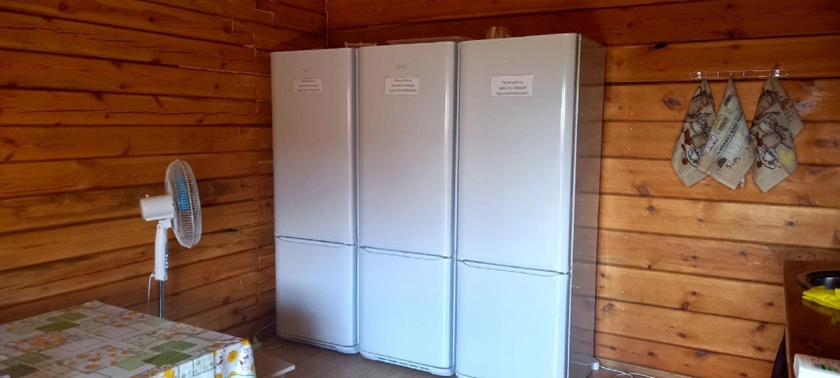 Гостевой дом Ромашка