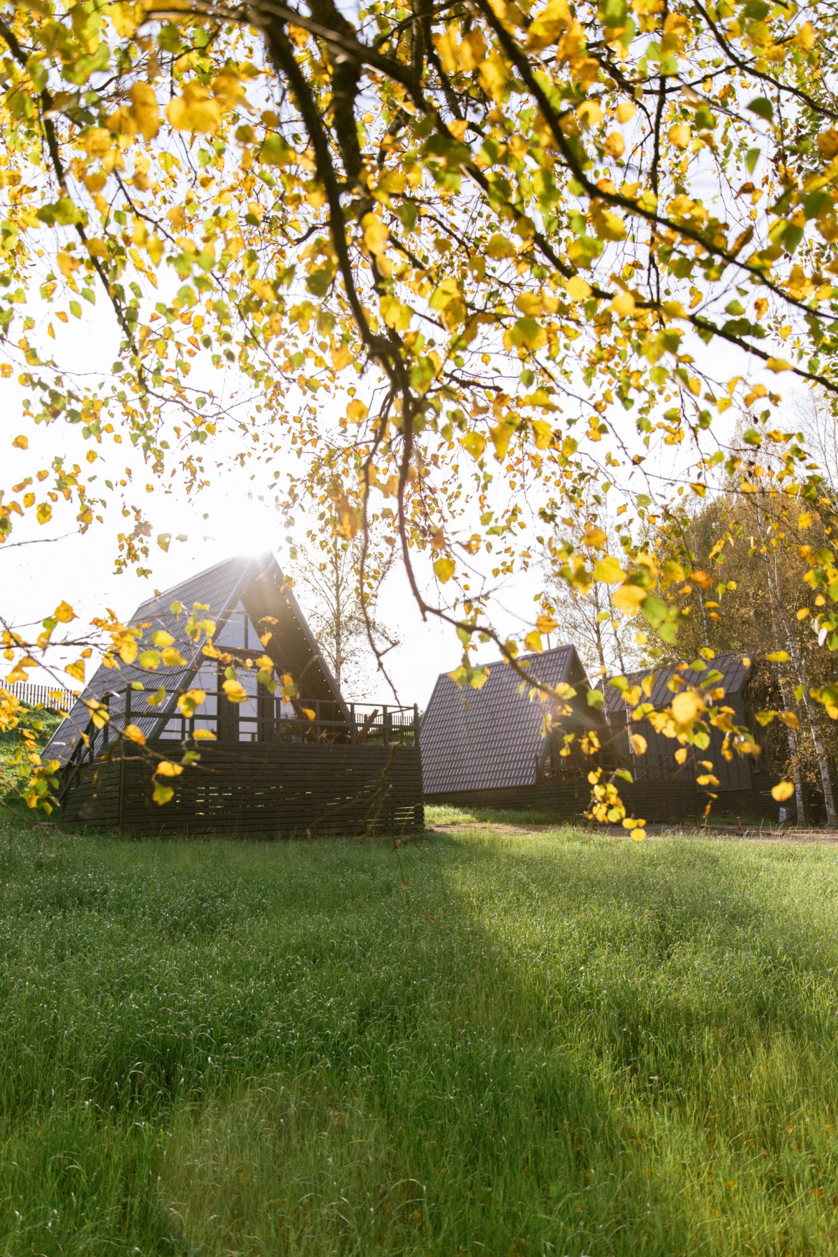 Гостевой дом Дача Вереск