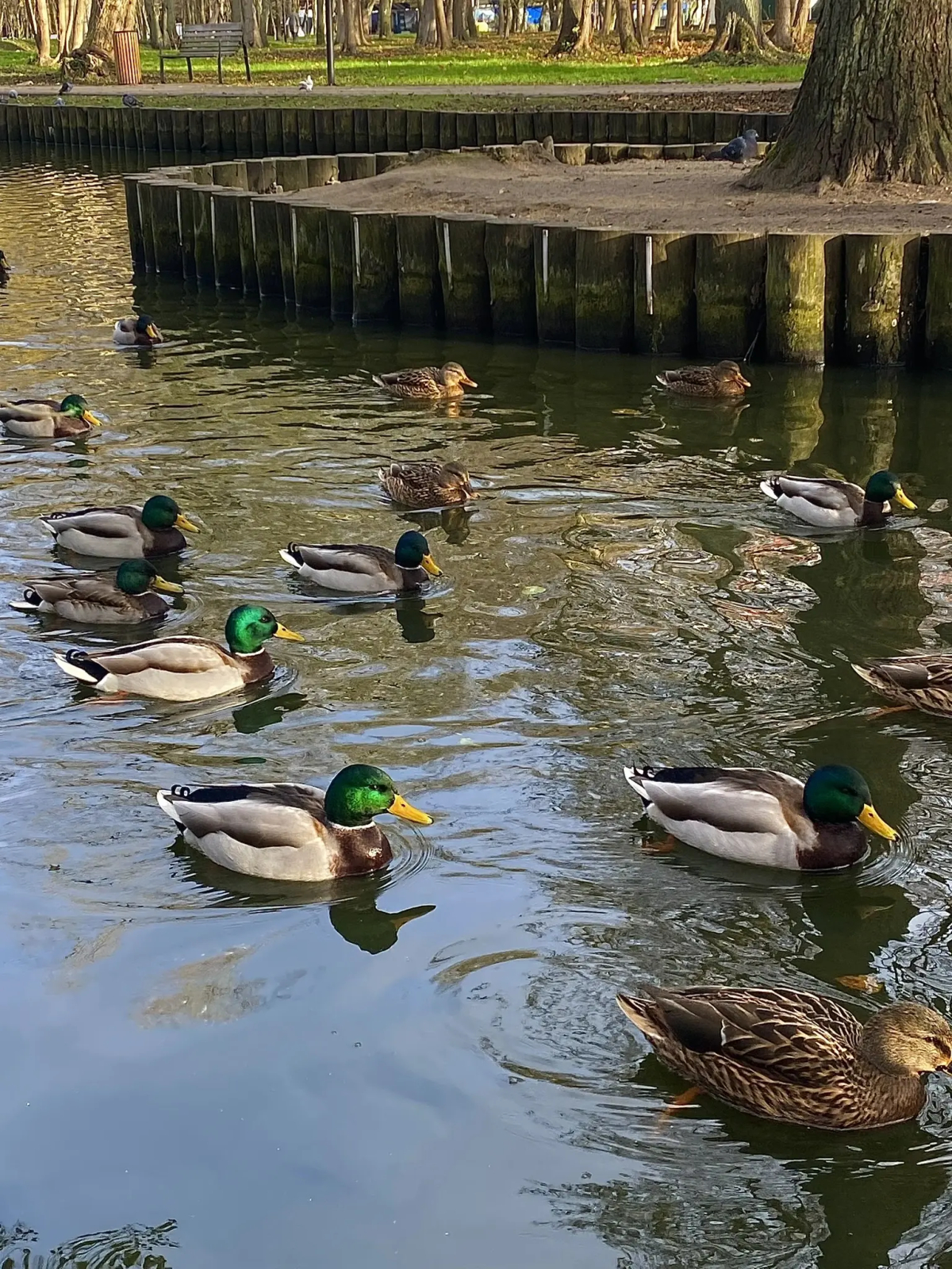 Квартира на Лермонтова