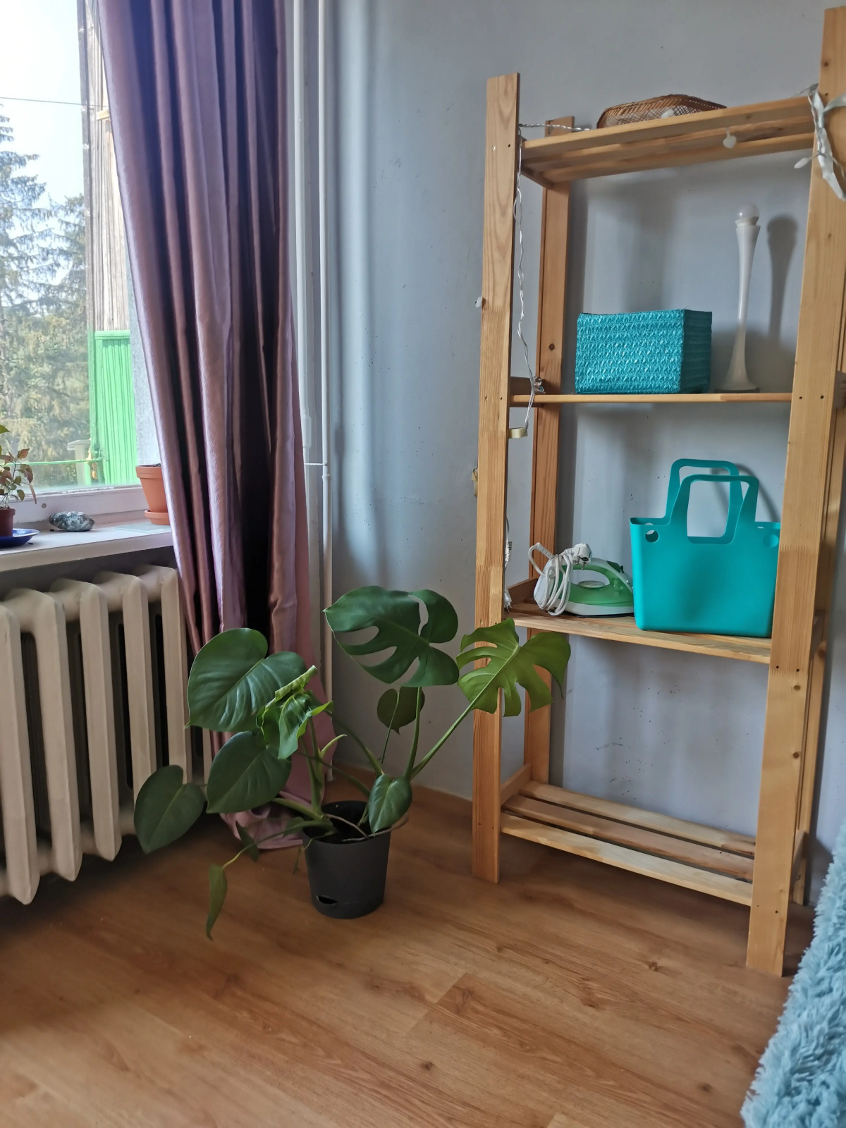 Апартаменты художника у леса