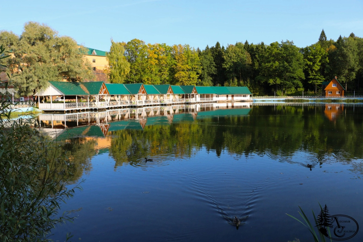 Отель Лесная Сказка