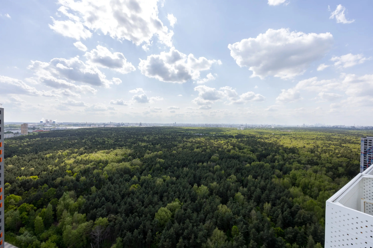Квартира Студия на 30-ом Этаже с Видом на Лес
