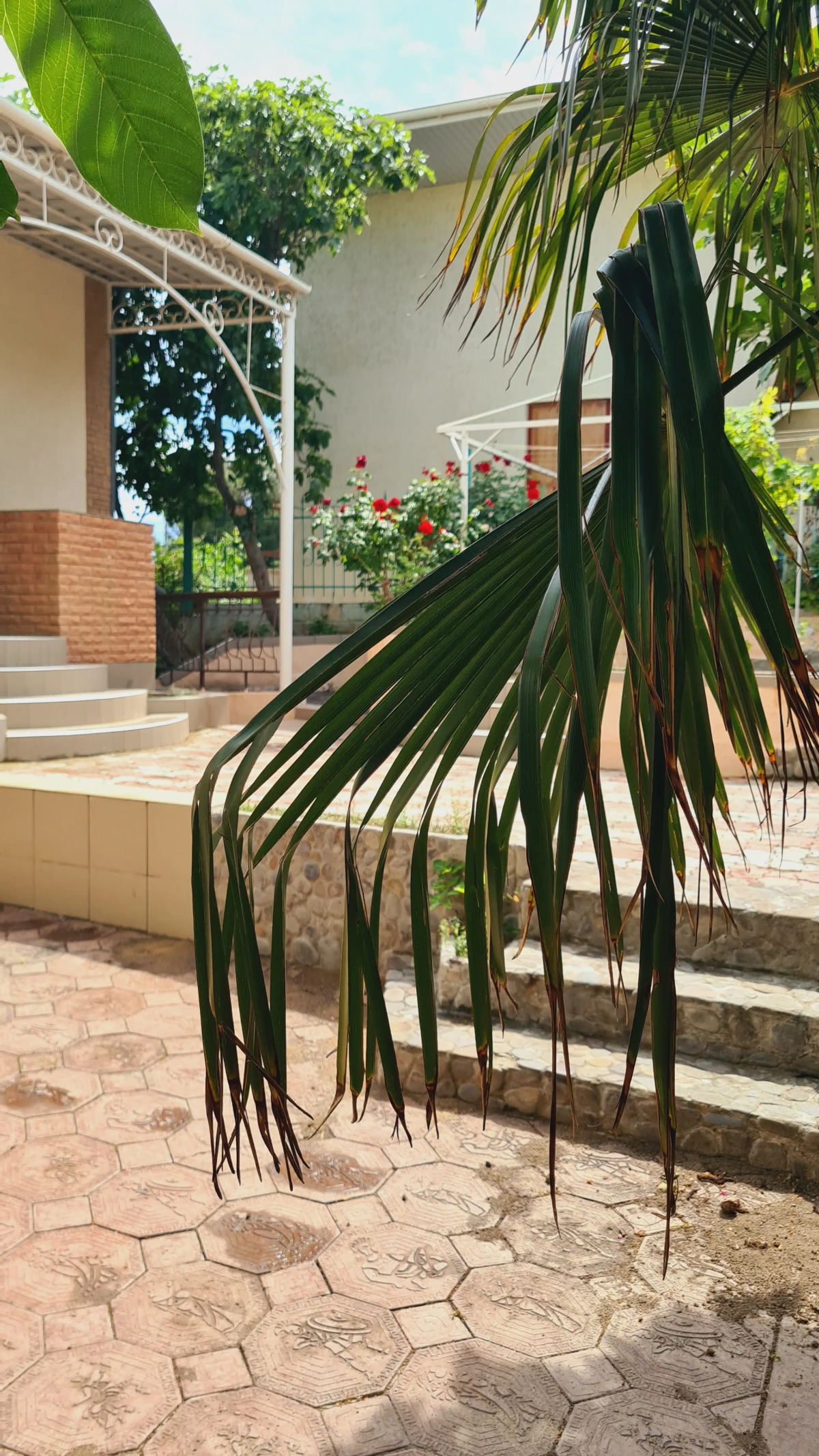 Гостевой дом Первая Линия