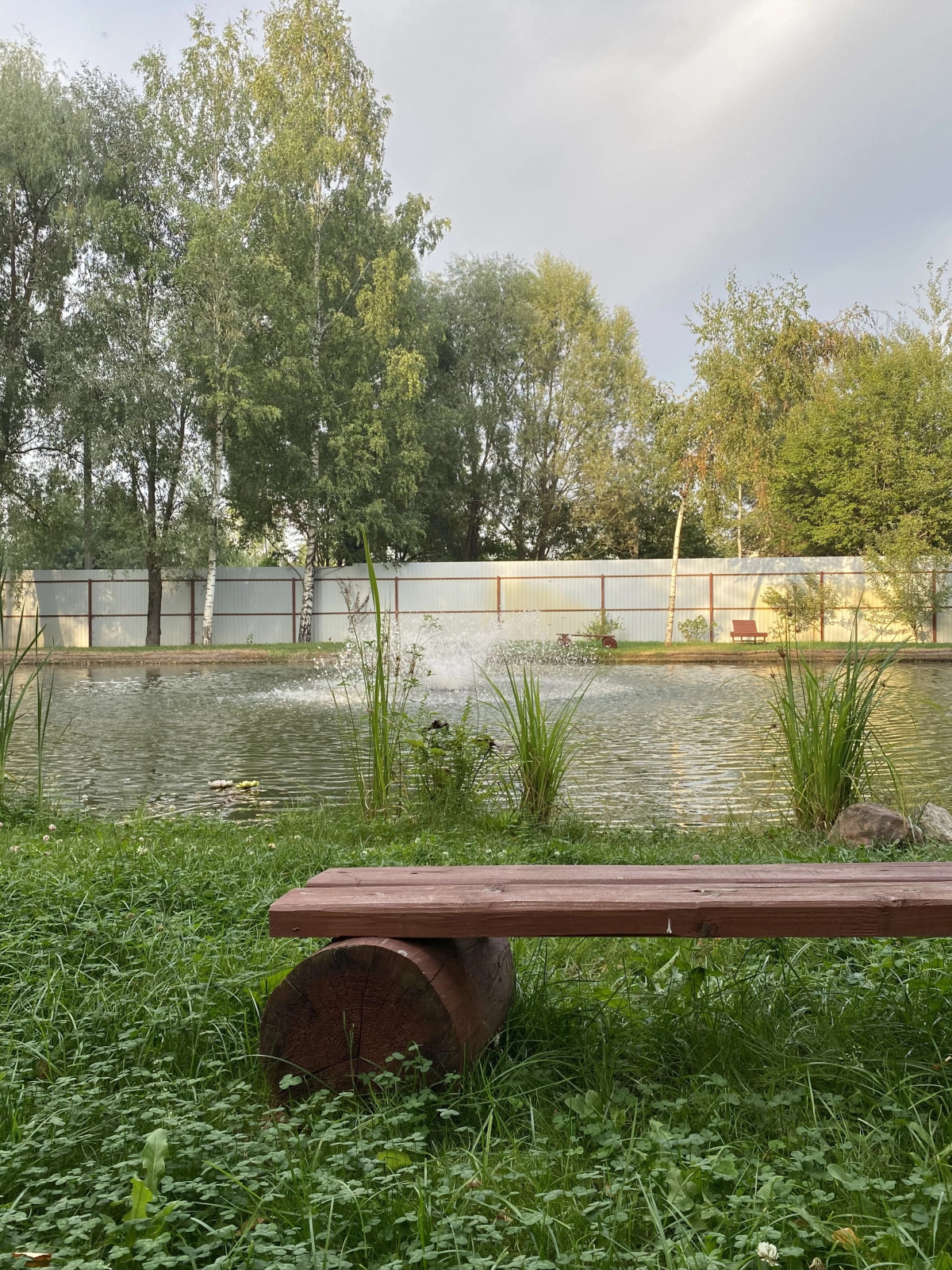 Частный Дом Уютный Домик в Лесу у Пруда