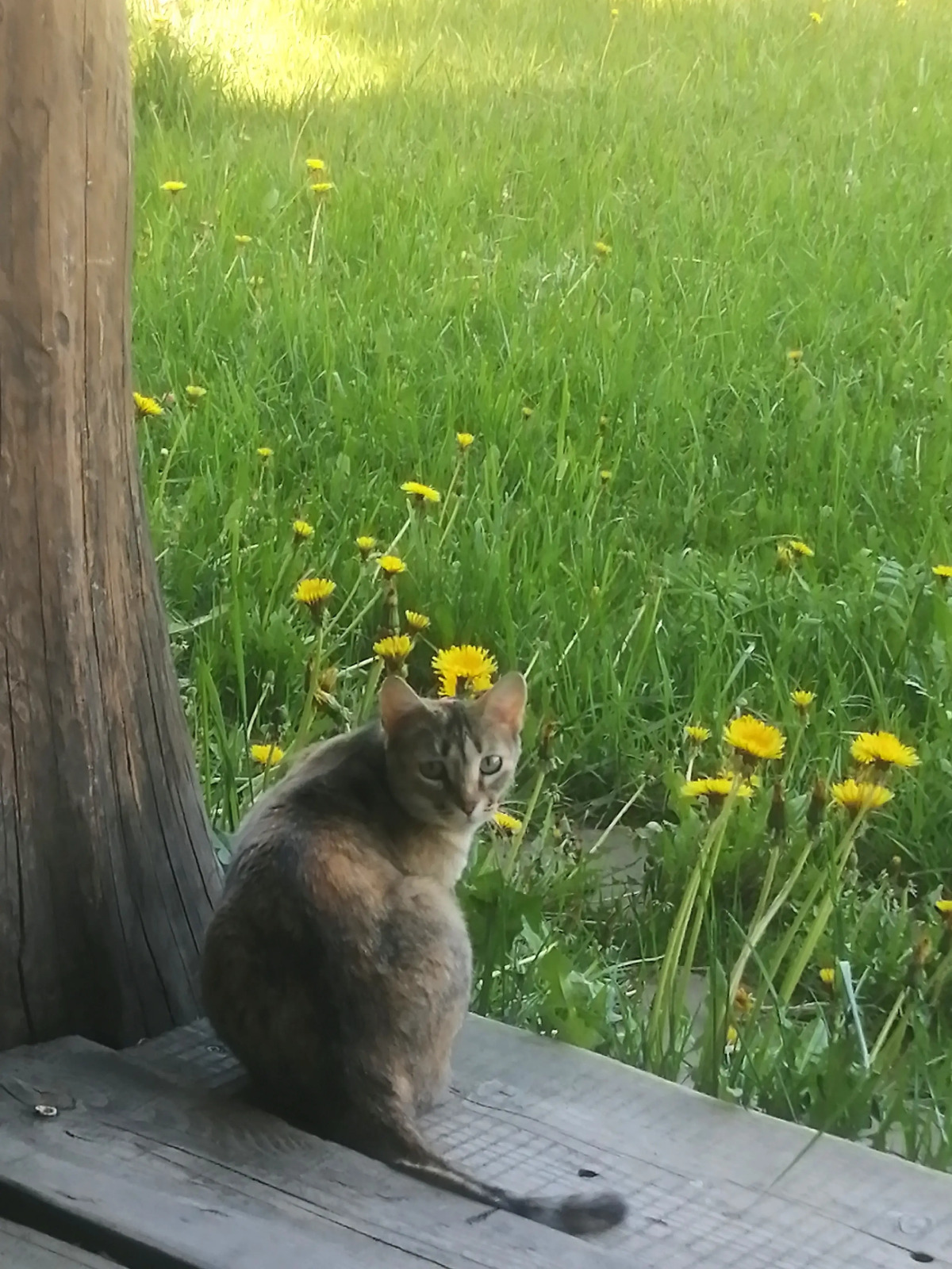 Гостевой дом Окулова Заимка