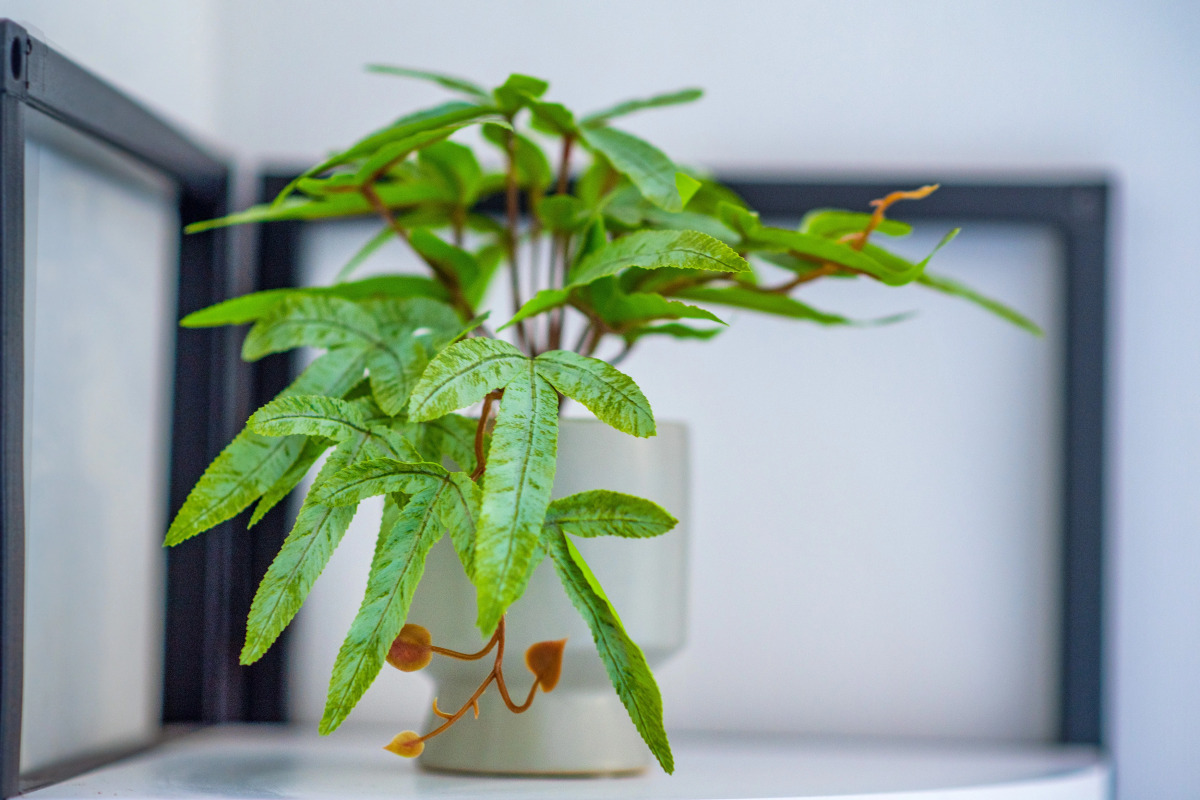 Апартаменты HB apartments University I