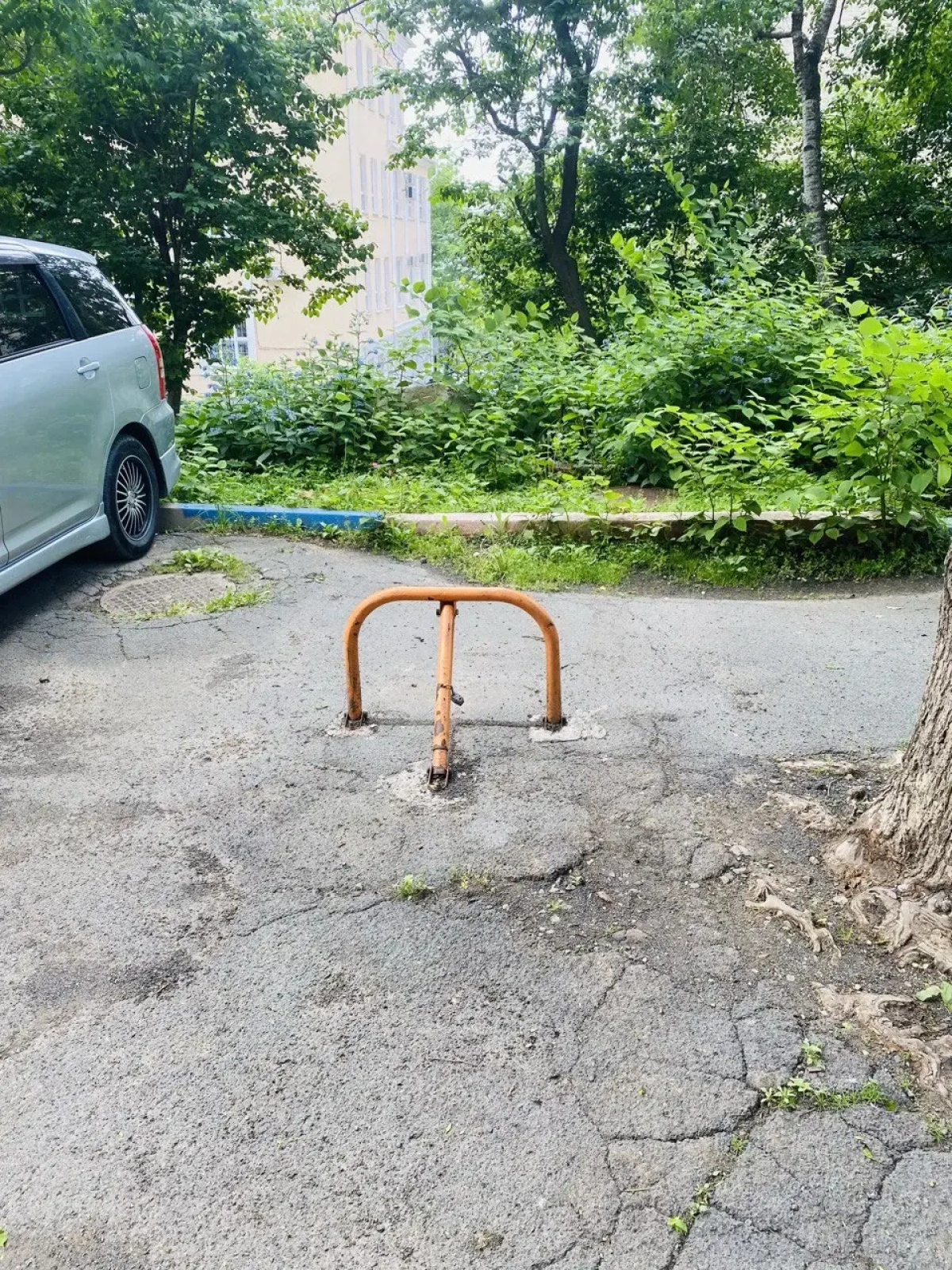 Квартира рядом с парком в центре города