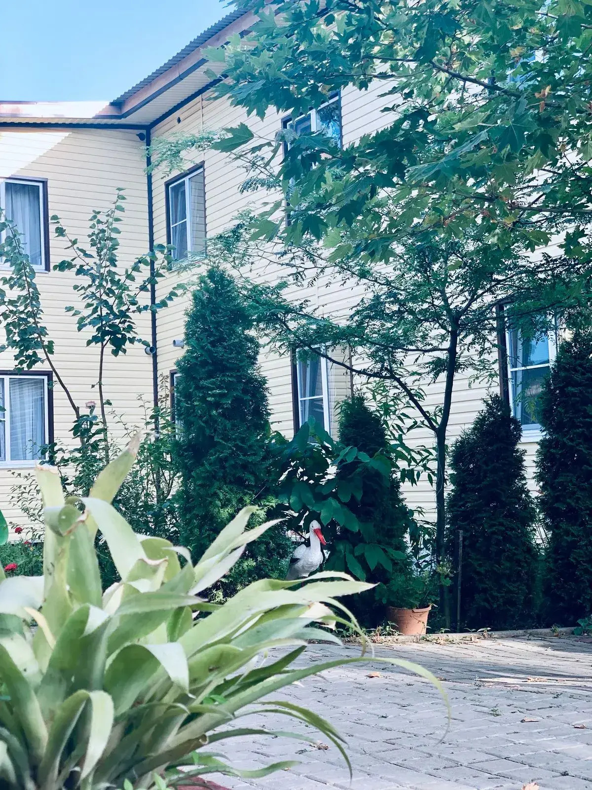 Дом с Енотами  Надежда