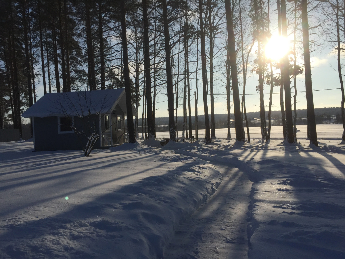 Гостевой Дом Ежевика