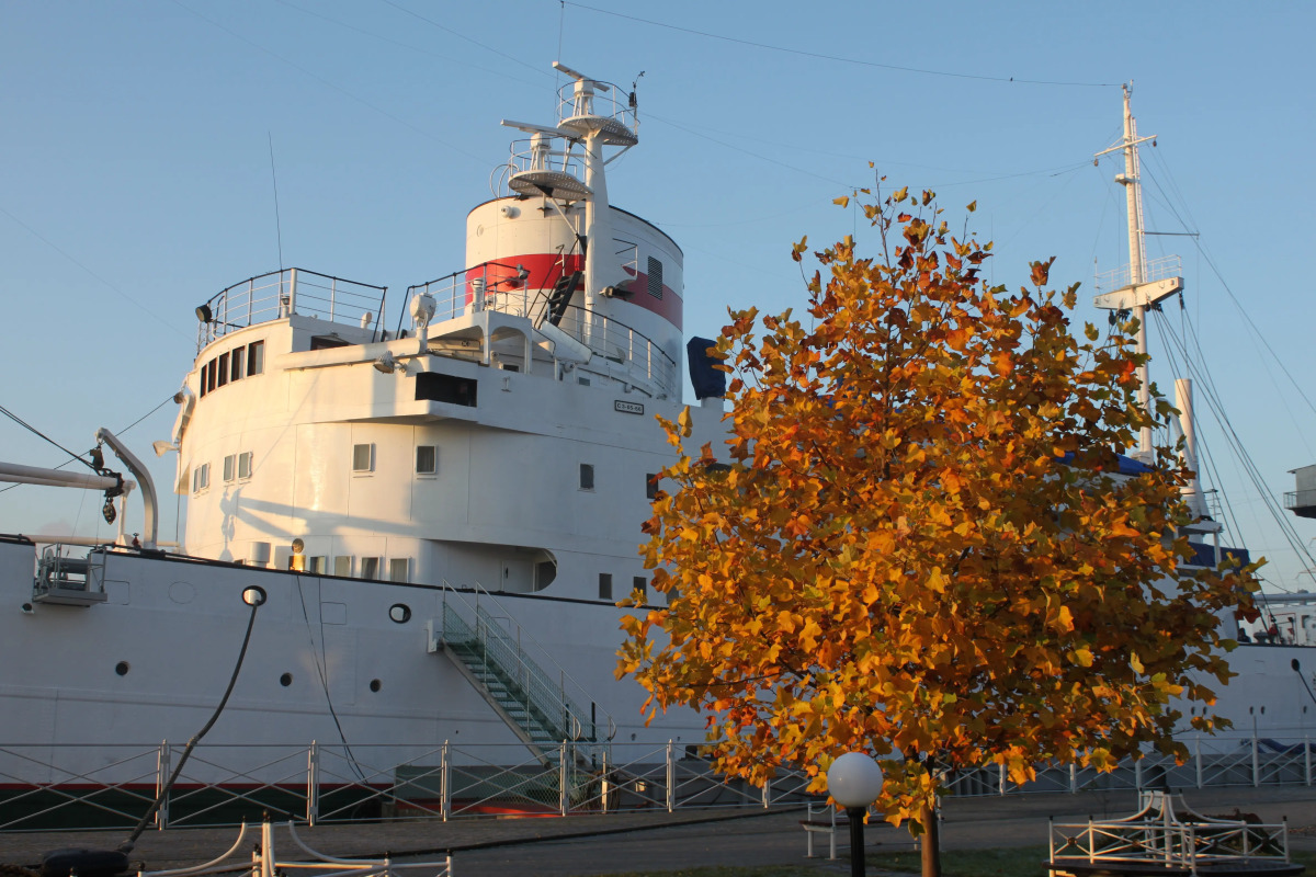 Отель Гостевые каюты НИС Витязь
