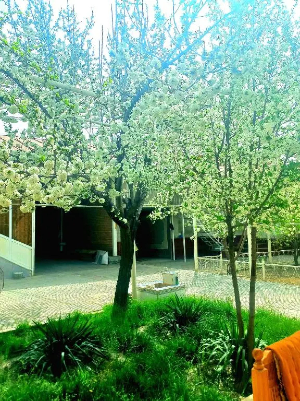 Хостел Colibri Traditional Hostel