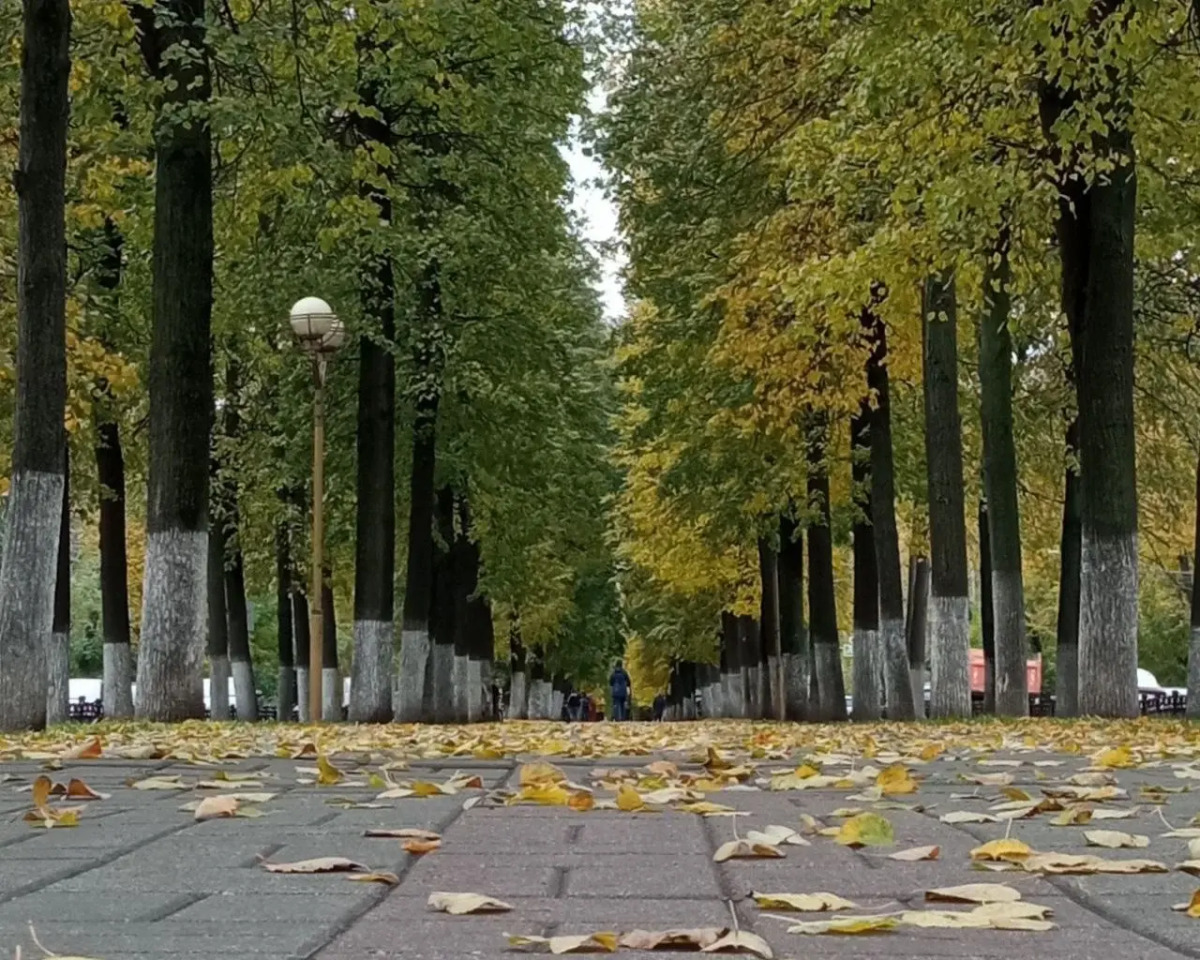 Квартира с парковкой и отдельным входом