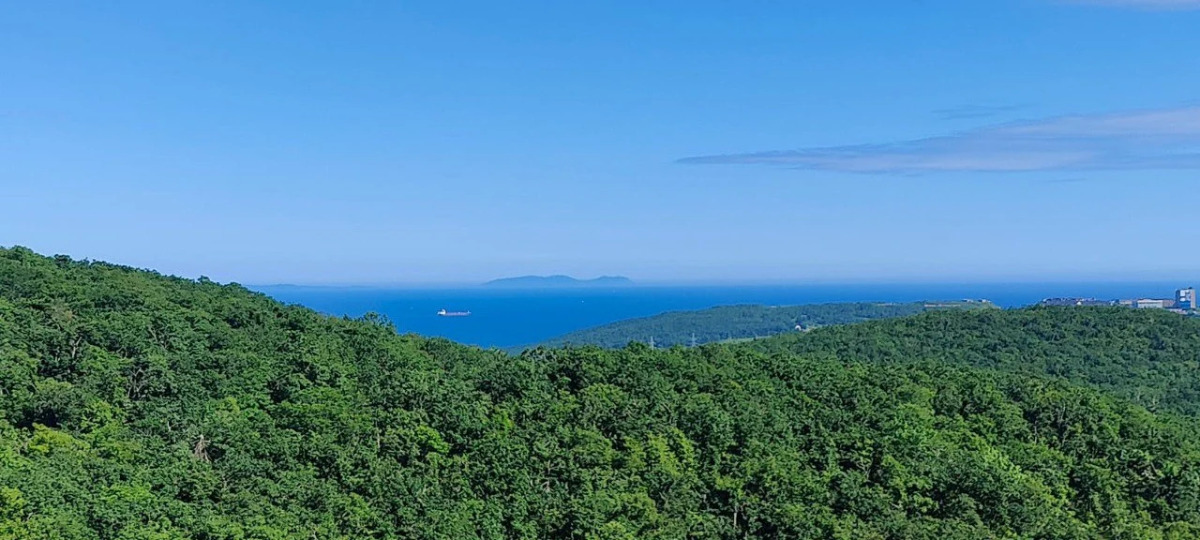 Квартира Nochevali