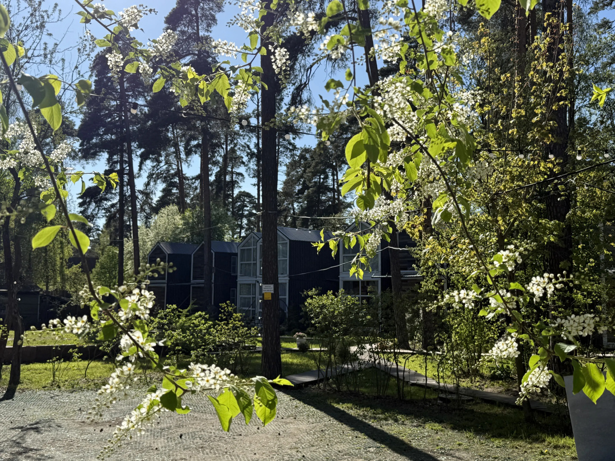 Коттедж 1 Скворешники