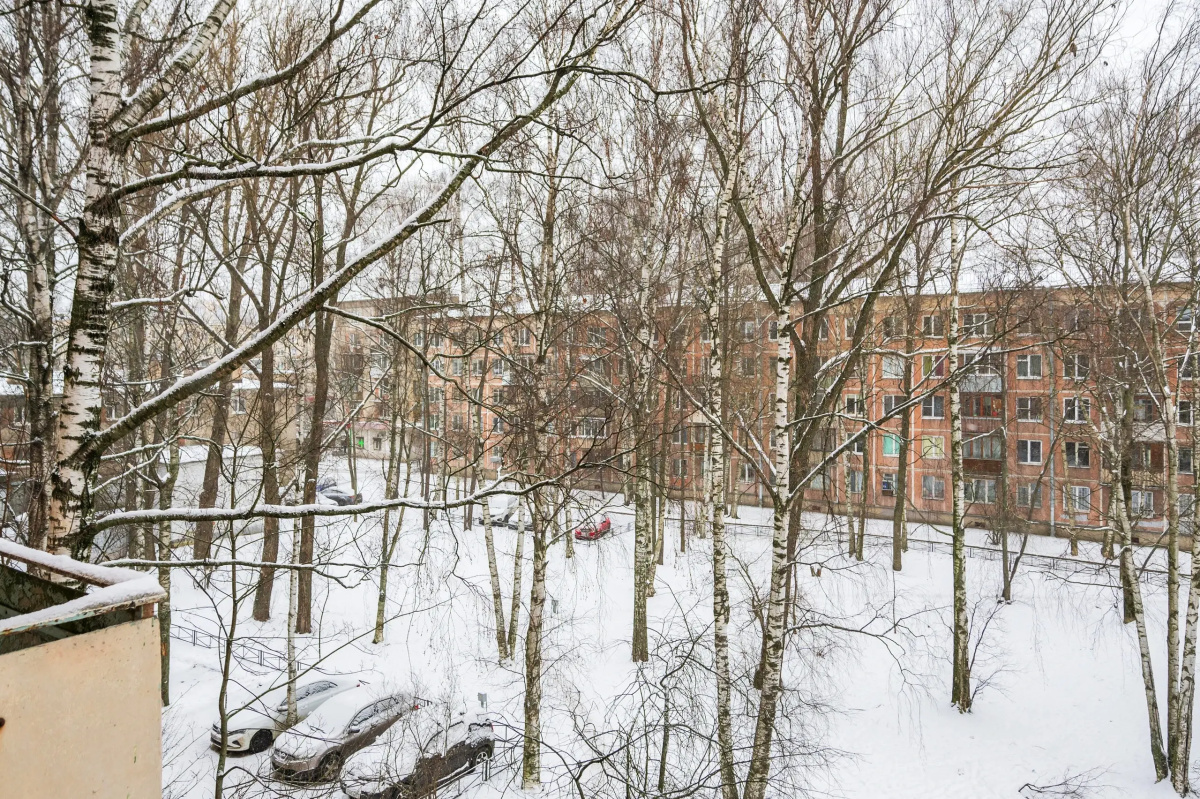 Квартира SpbMain СпбМэйн на Ланском шоссе