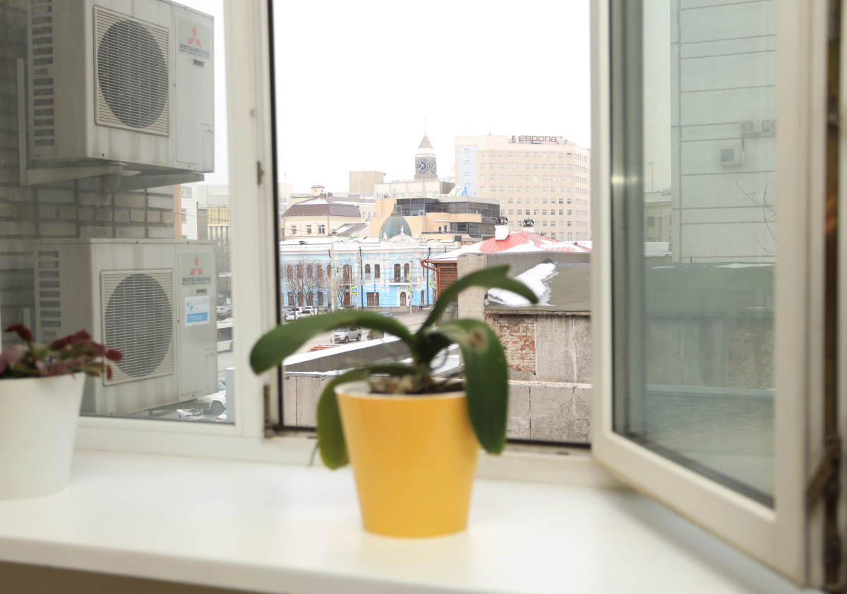 Отель Звездочка