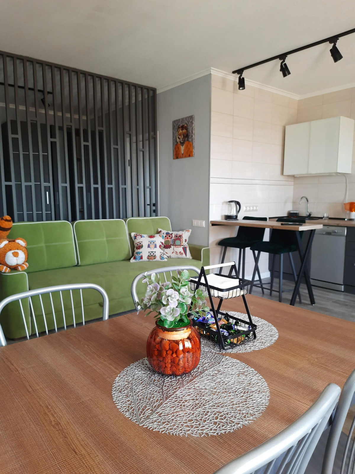 Апартаменты Рыжий Кот Дружный