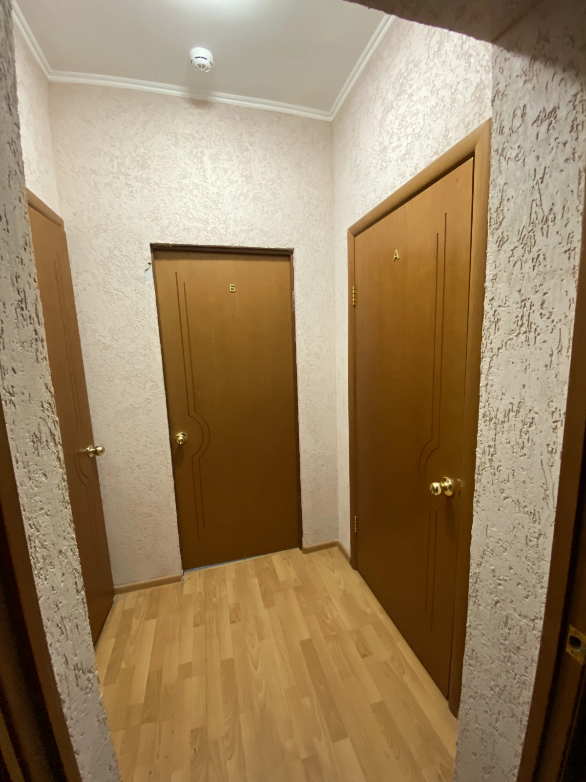 Меблированные комнаты Мещерино