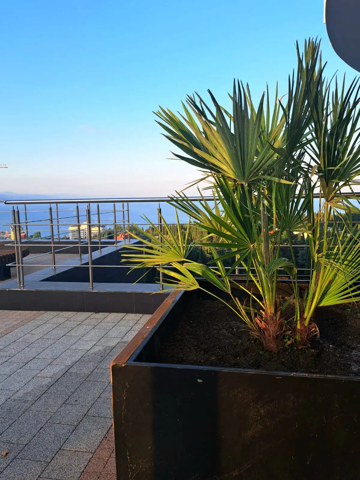 Апартаменты в Алуште (500 метров до моря) Морская Звезда