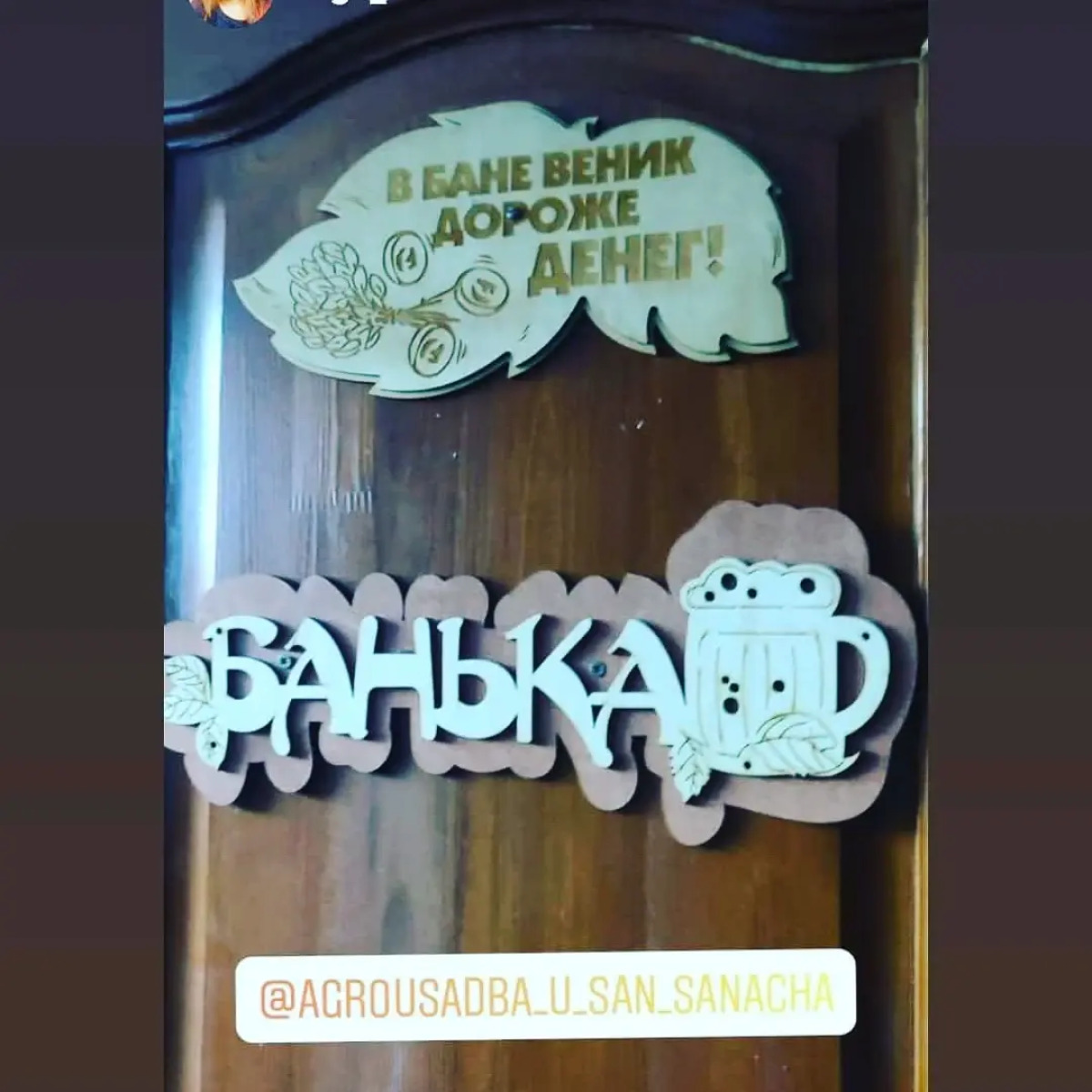 Гостевой дом Агроусадьба у Сан Саныча