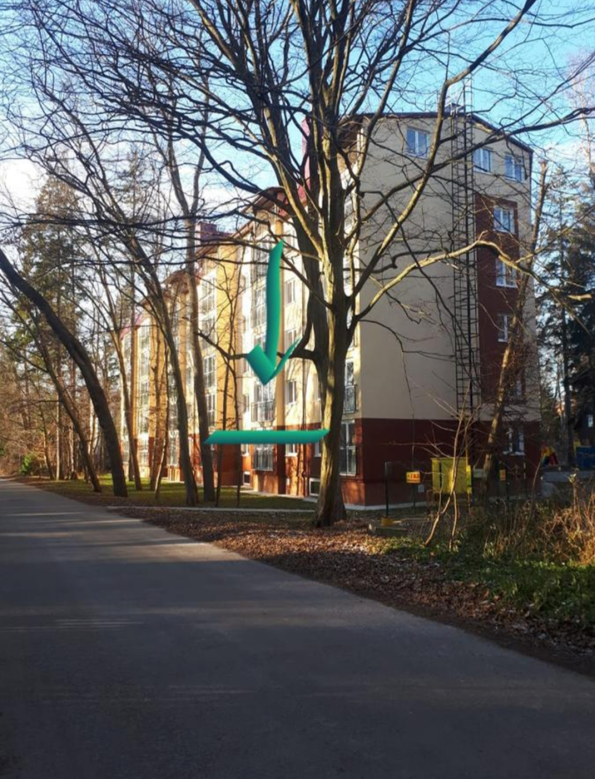 Квартира У Вадима