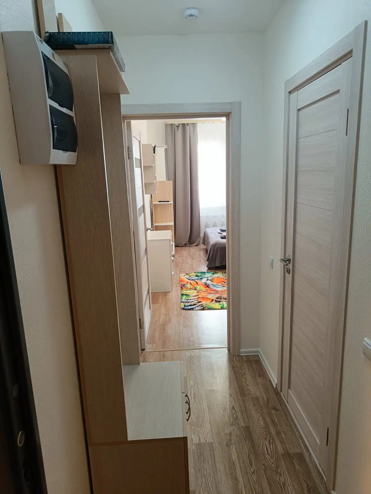 Квартира на улице Муринская дорога 27/2