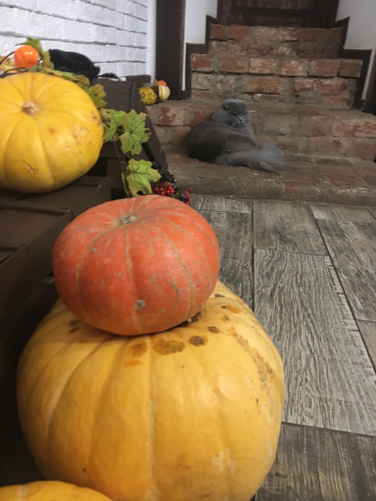 Гостевой дом Дом Ершова