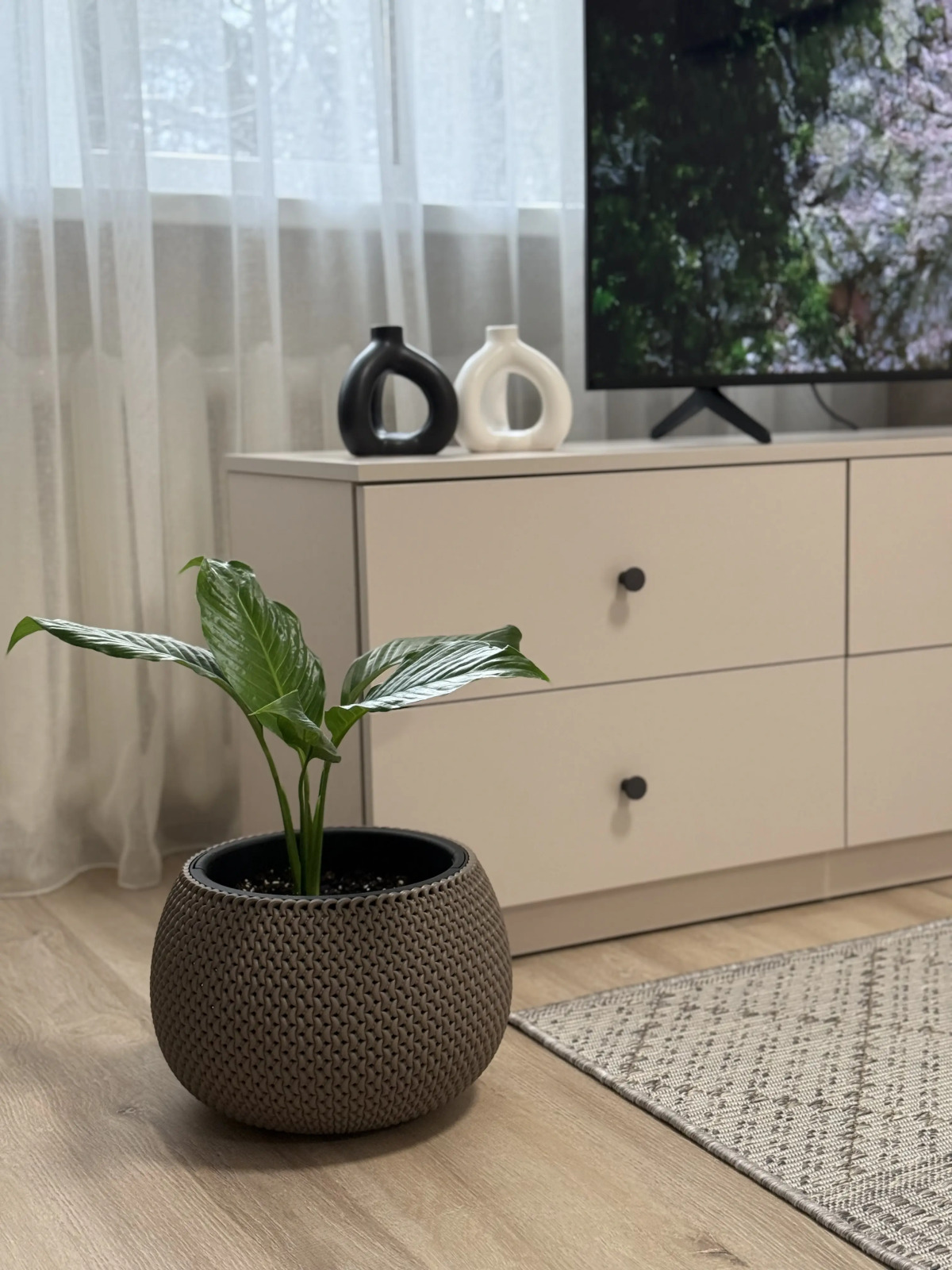 Квартира на Шмулевича 1В