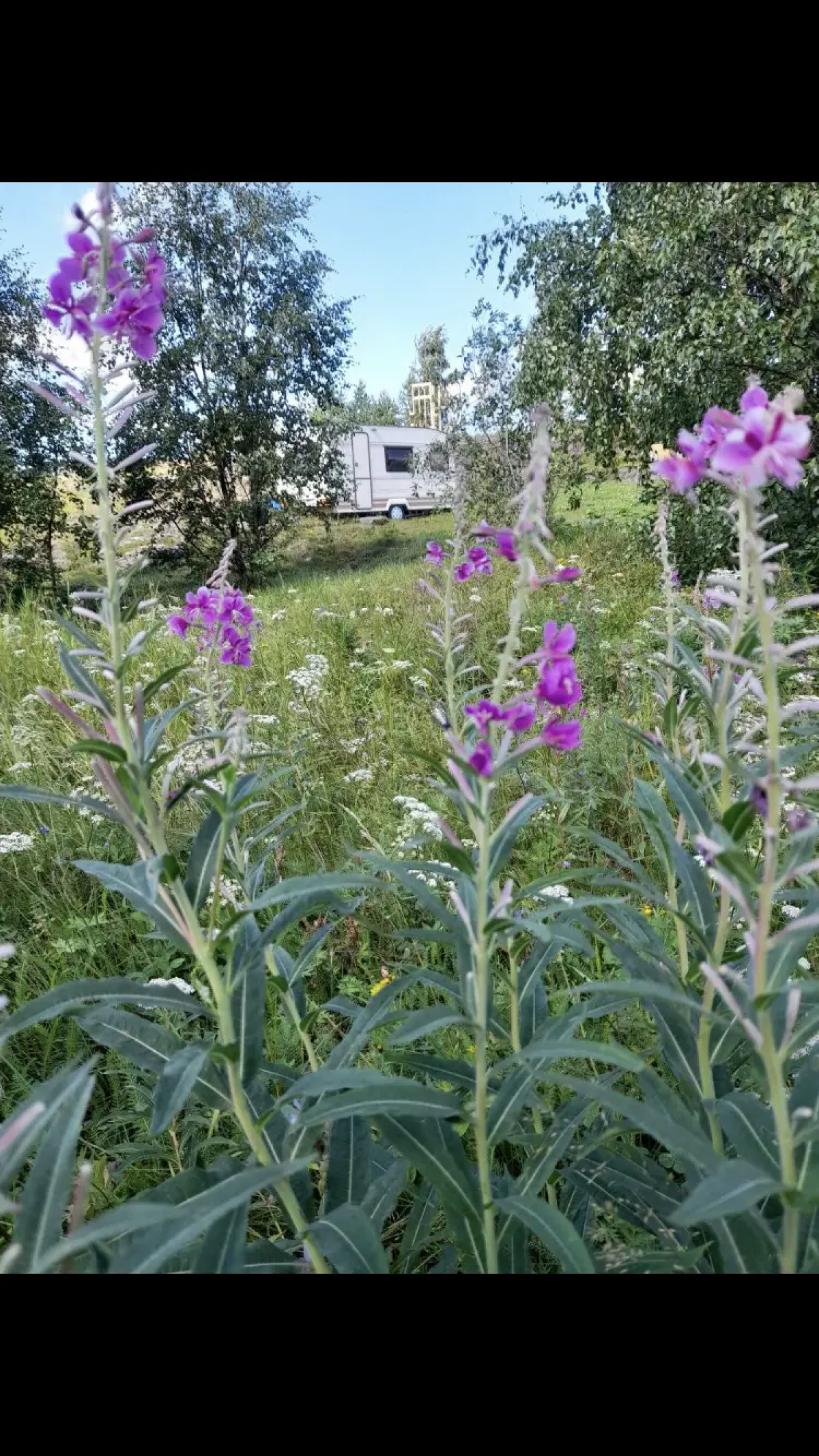 Частный Дом Wheel Home Belomorsk