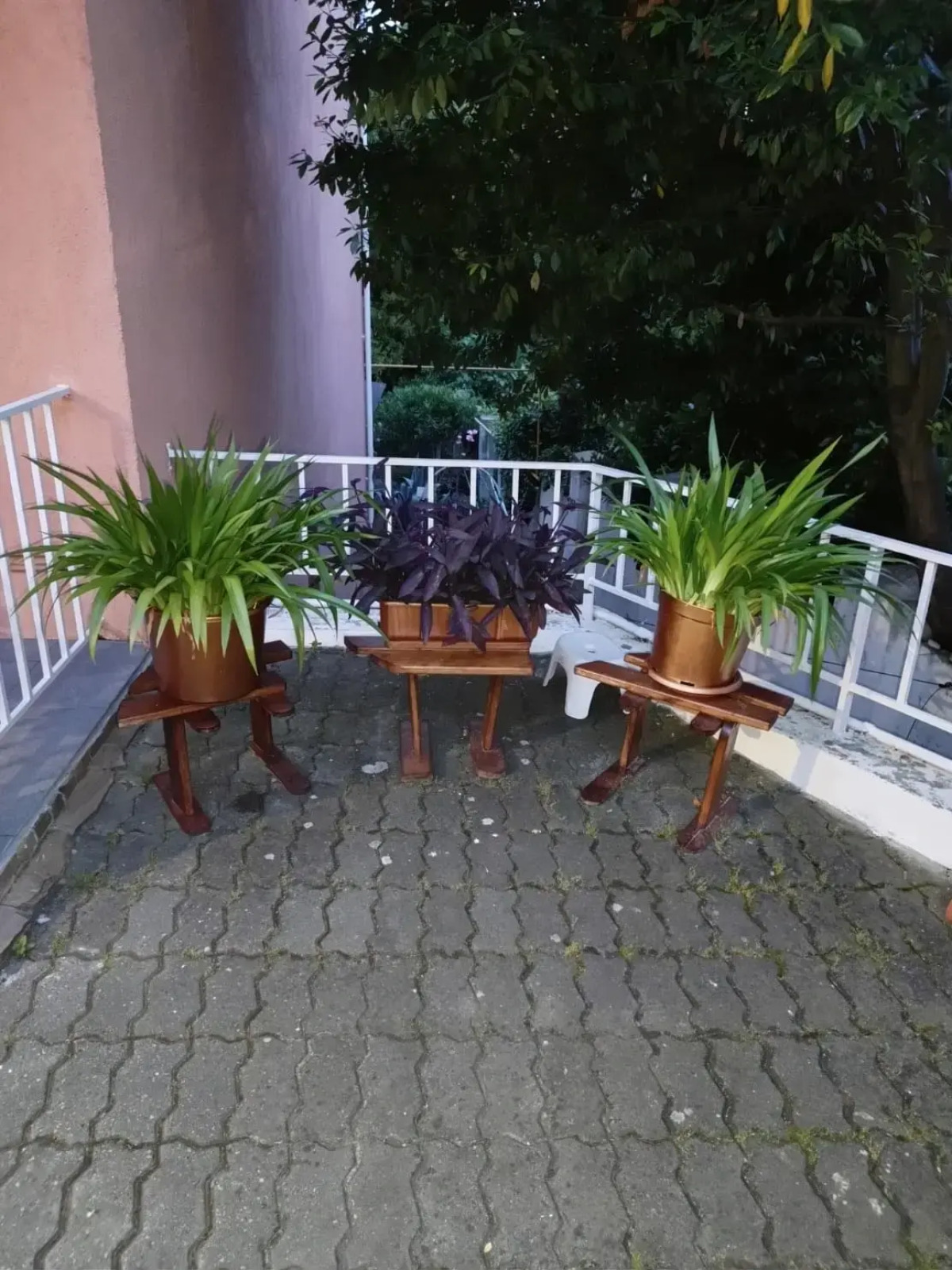 Гостевой дом Бамбуковый Рай