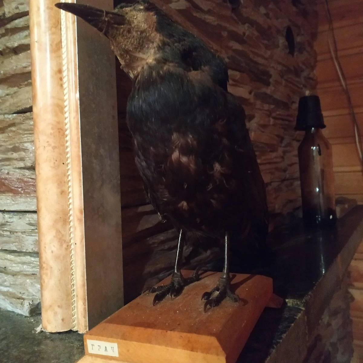 Гостевой дом Агроусадьба у Сан Саныча