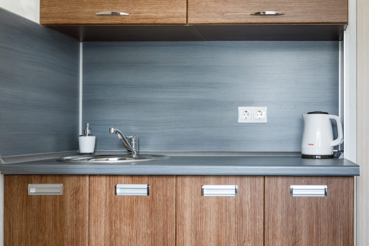 Двухместная улучшенная мини-студия Авион