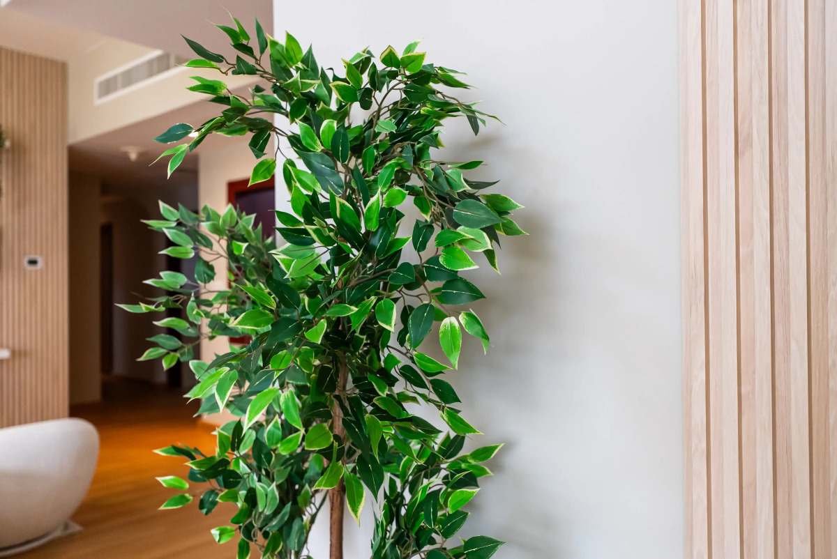 Хостел Yousleep