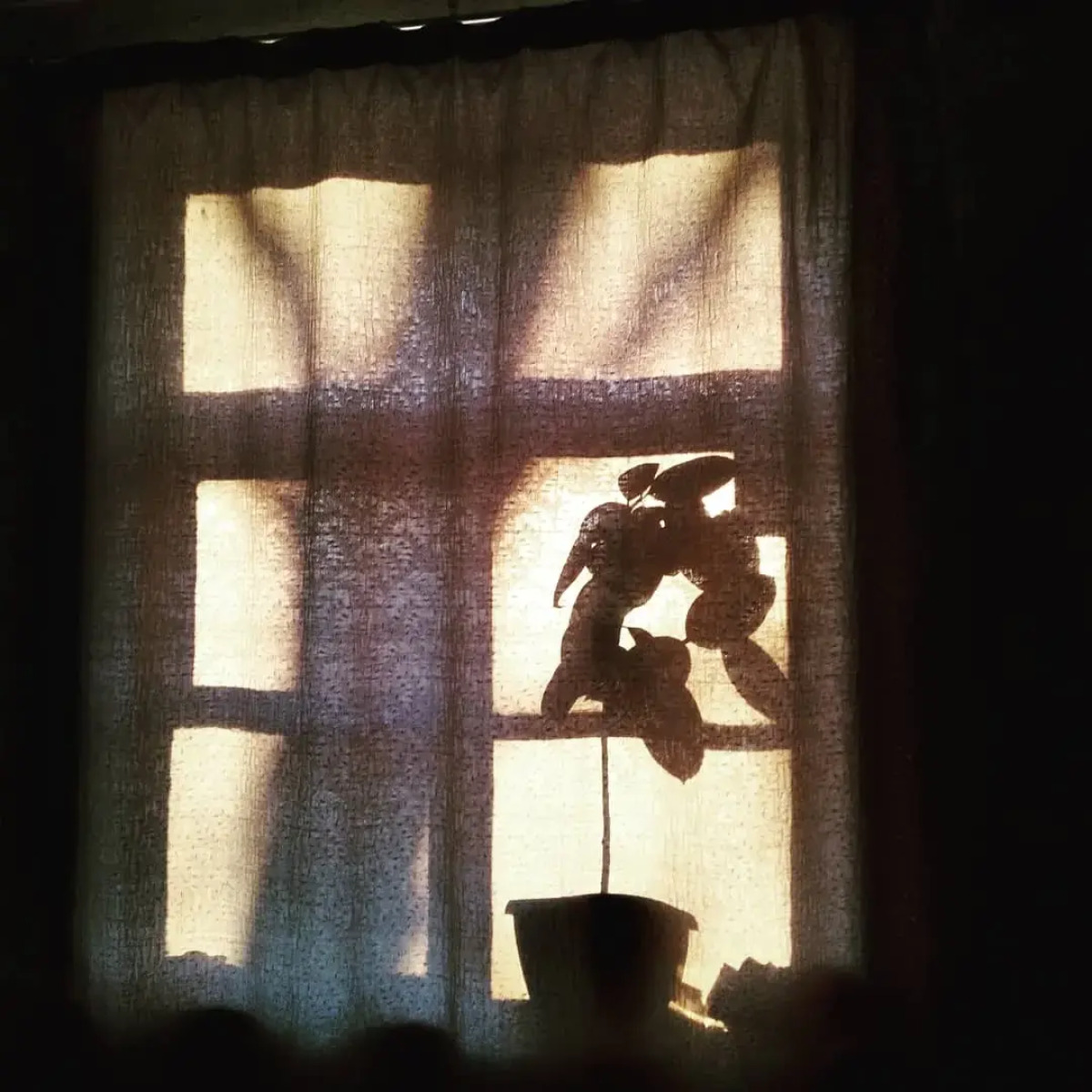 Апартаменты Большая Квартира в Центре Города