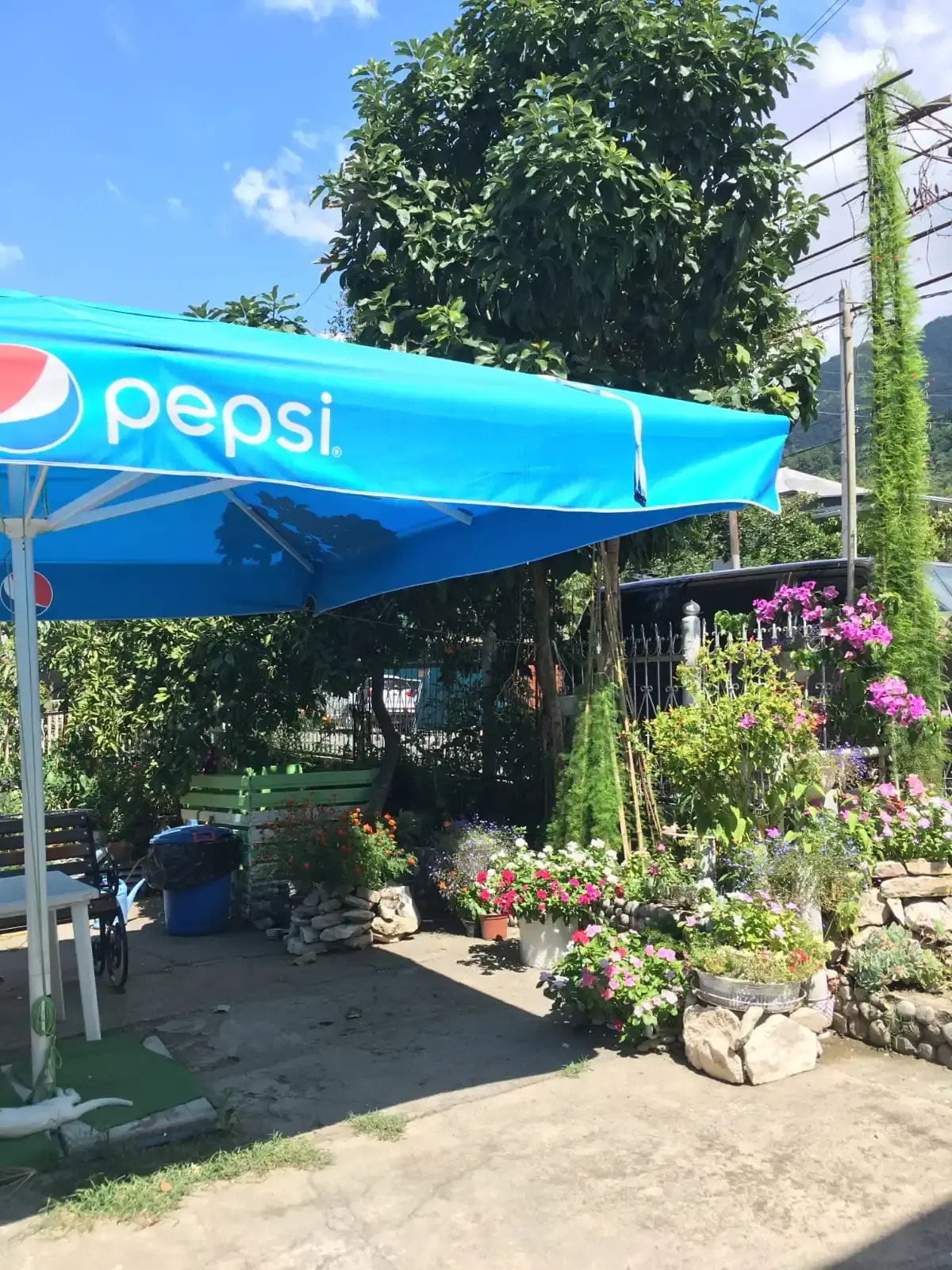 Гостевой дом Зеленый дворик